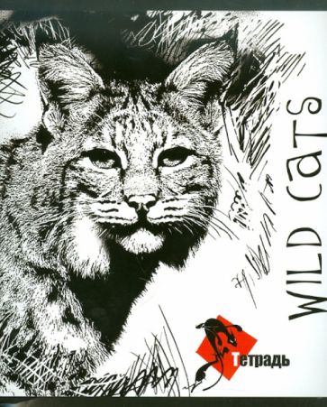 Тетрадь "WILD CATS", 96 листов, клетка, А5 (16144) Тетрадь "WILD CATS", 96 листов, клетка, А5 (16144)