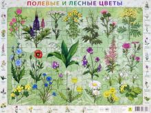 Пазл. Полевые и лесные цветы России, 63 элемента.