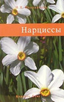Нина Ипполитова - Нарциссы обложка книги Нина Ипполитова - Нарциссы обложка книги