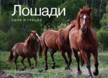Kristin Maffei - Лошади. Сила и грация обложка книги Kristin Maffei - Лошади. Сила и грация обложка книги