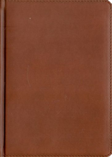 Ежедневник полудатированный 384 страницы, А5, коричневый (22904) Ежедневник полудатированный 384 страницы, А5, коричневый (22904)