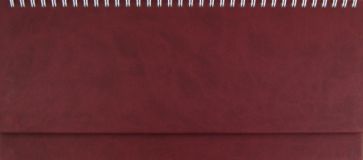 Планинг-2012, бордовый (72725454) Планинг-2012, бордовый (72725454)