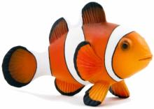 Рыба-клоун (Cllown Fish) (387090) Рыба-клоун (Cllown Fish) (387090)