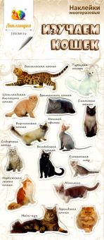 Набор леденцовых наклеек "Изучаем кошек"