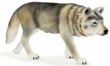 Волк в охоте (Timber Wolf Standing) (387026) Волк в охоте (Timber Wolf Standing) (387026)