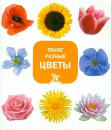 Такие разные цветы обложка книги Такие разные цветы обложка книги