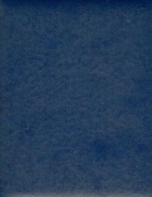 Еженедельник "Небраска". 2014 год. Ярко-синий (726106248) Еженедельник "Небраска". 2014 год. Ярко-синий (726106248)