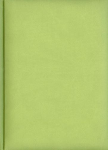 Ежедневник датированный "Туксон". 2014 год. Светло-зеленый (72325828) Ежедневник датированный "Туксон". 2014 год. Светло-зеленый (72325828)
