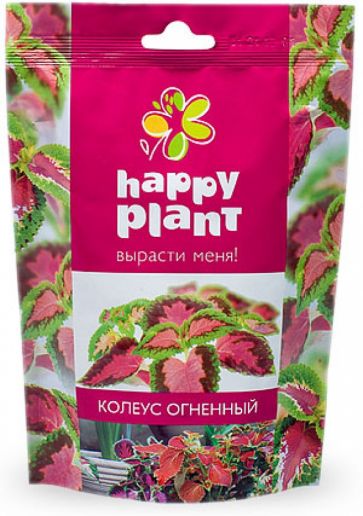 Набор для выращивания "Колеус огненный" Набор для выращивания "Колеус огненный"