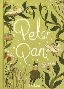 James Barrie - Peter Pan обложка книги James Barrie - Peter Pan обложка книги