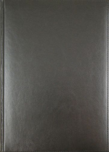 Ежедневник-2012, серый (723106268) Ежедневник-2012, серый (723106268)