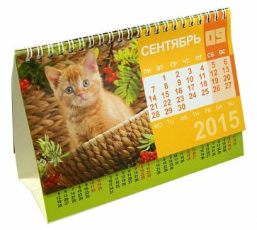Календарь-домик 2015 "Котята" Календарь-домик 2015 "Котята"