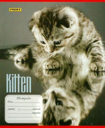 Тетрадь 12 листов "Kitten" клетка (6125125084) Тетрадь 12 листов "Kitten" клетка (6125125084)