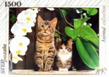 Step Puzzle-1500 "Котята и орхидея" (83040) Step Puzzle-1500 "Котята и орхидея" (83040)