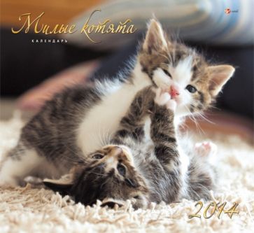 Календарь настенный на 2015 год "Милые котята" (КС121502) Календарь настенный на 2015 год "Милые котята" (КС121502)