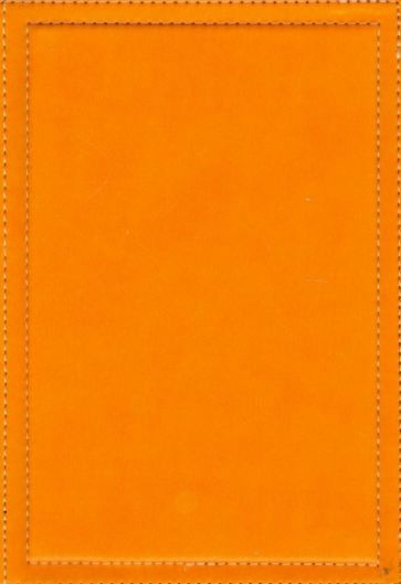 Ежедневник недатированный "Proff.Absolute", А5, оранжевый (PF-5N131203-07) Ежедневник недатированный "Proff.Absolute", А5, оранжевый (PF-5N131203-07)