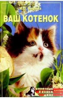 Ирина Иофина - Ваш котенок обложка книги Ирина Иофина - Ваш котенок обложка книги
