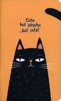 Блокнот Silly. Черный кот, 48 листов, линия