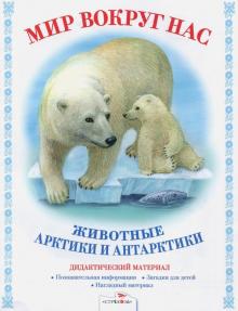 Животный Мир Арктики Фото