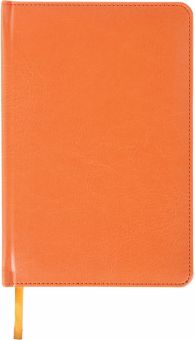 Ежедневник недатированный (136 листов, А6), Rainbow, оранжевый (111688)