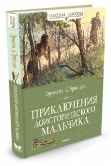 Эрнест Эрвильи - Приключения доисторического мальчика обложка книги Эрнест Эрвильи - Приключения доисторического мальчика обложка книги