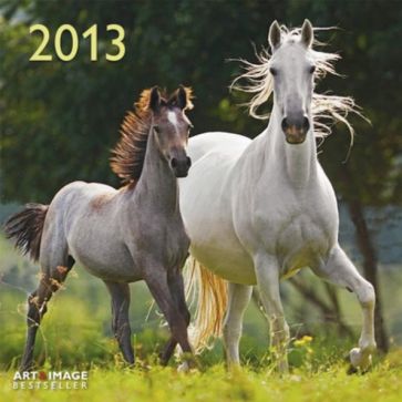 Календарь 2013 "Лошади" (75644) Календарь 2013 "Лошади" (75644)