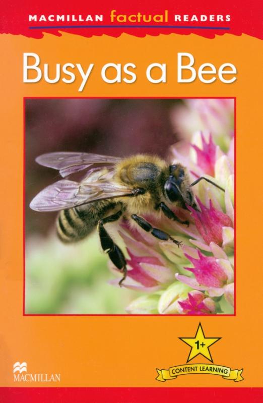 Are you busy reading read. As busy as a Bee. Beehive учебник. Busy as a Bee