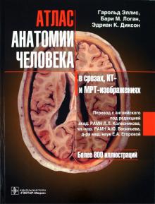 Эллис, Логан, Диксон - Атлас анатомии человека в срезах, КТ- и МРТ-изображениях обложка книги Эллис, Логан, Диксон - Атлас анатомии человека в срезах, КТ- и МРТ-изображениях обложка книги