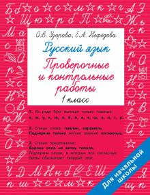 Русский язык 1 класс. Проверочные и контрольные работы