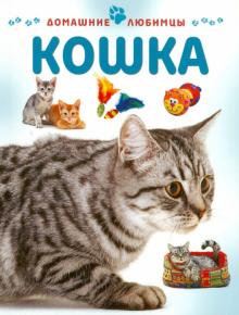 Мэтью Рейнер - Кошка обложка книги Мэтью Рейнер - Кошка обложка книги