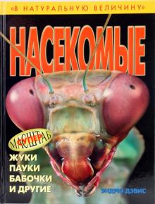 Эндрю Дэвис - Насекомые: жуки, пауки, бабочки и другие обложка книги Эндрю Дэвис - Насекомые: жуки, пауки, бабочки и другие обложка книги