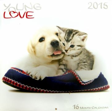 Календарь 2015 "Young Love Kittens & Puppies" (2243) Календарь 2015 "Young Love Kittens & Puppies" (2243)