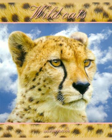 Тетрадь "ДИКИЕ КОШКИ", 48 листов, клетка, А5 (18384) Тетрадь "ДИКИЕ КОШКИ", 48 листов, клетка, А5 (18384)