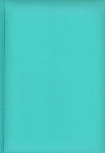 Ежедневник-2011 (72304575) (бирюзовый) Ежедневник-2011 (72304575) (бирюзовый)