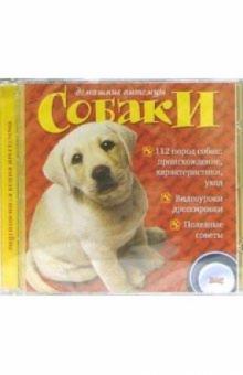 Домашние питомцы: Собаки Домашние питомцы: Собаки